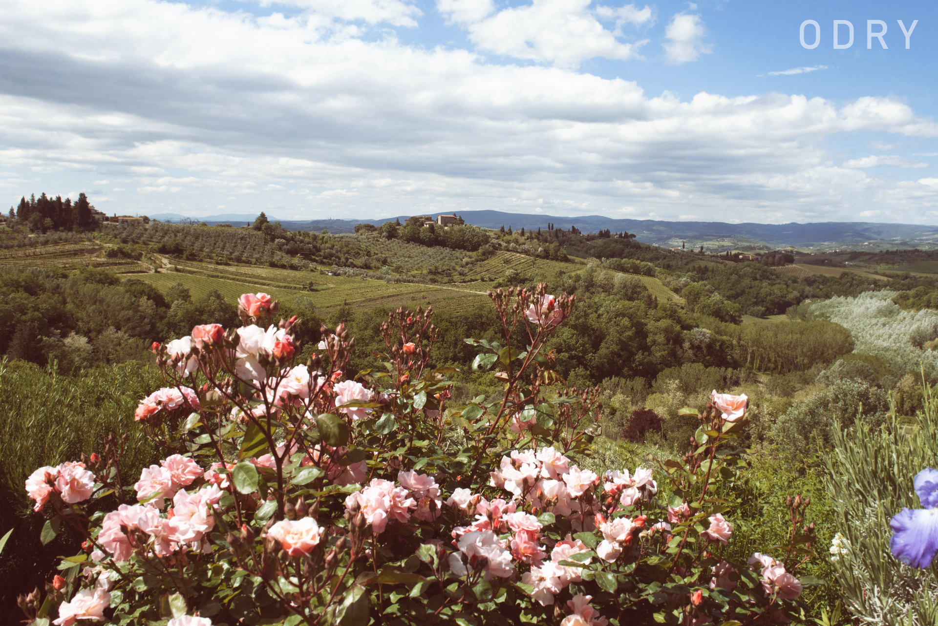 Toskania Chianti Certaldo
